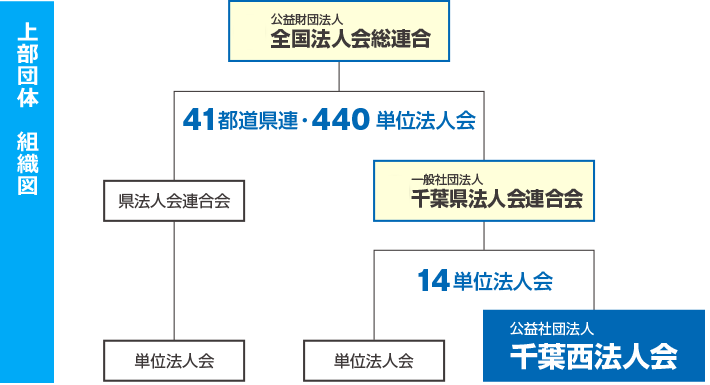 上部団体　組織図