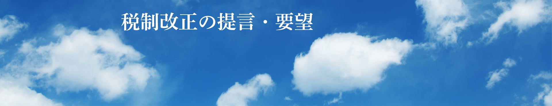 事業案内（税制改正の提言・要望）